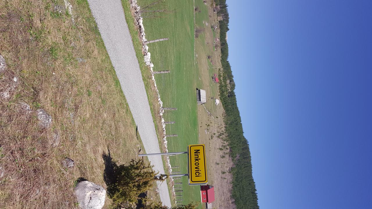 זבליאק Apartmani Bozovic מראה חיצוני תמונה